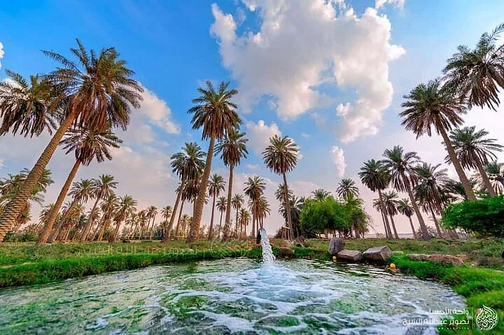 Al Dhahirah Oasis